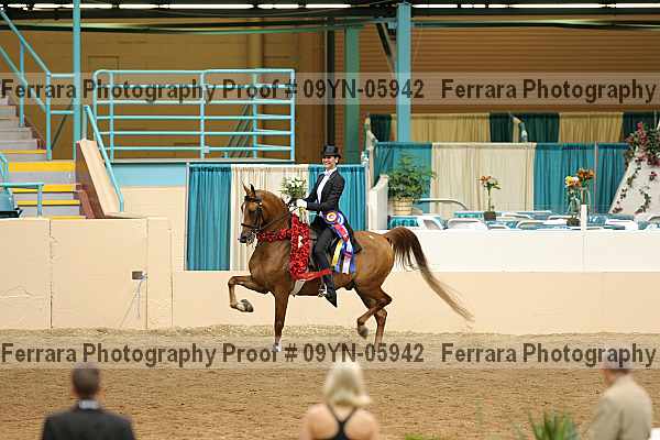 Proof 09yn-05942