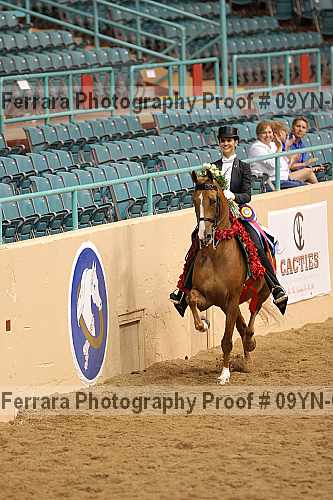 Proof 09yn-05947