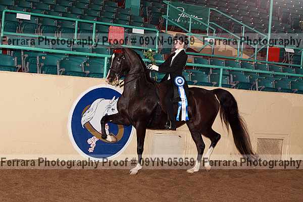Proof 09yn-05959