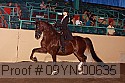 09yn-00635 proof