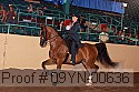 09yn-00636 proof