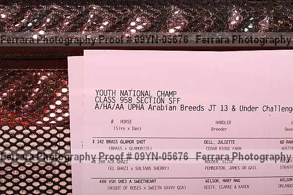 Proof 09yn-05676