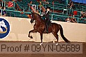09yn-05689 proof