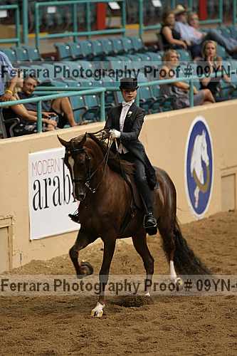 Proof 09yn-05694