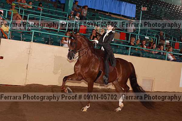 Proof 09yn-05702