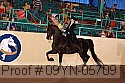 09yn-05709 proof