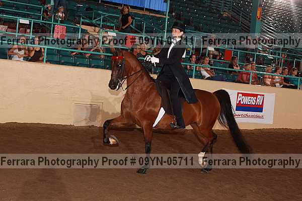 Proof 09yn-05711