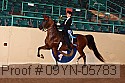 09yn-05783 proof