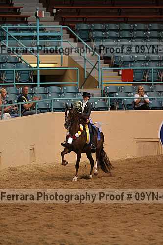 Proof 09yn-05790