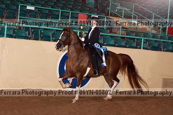 Proof 09yn-05802