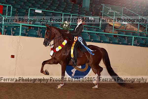 Proof 09yn-05805