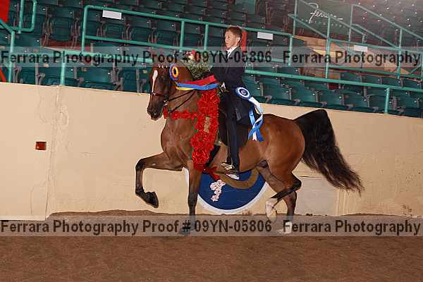 Proof 09yn-05806