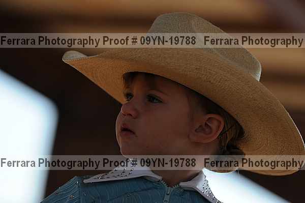 Proof 09yn-19788
