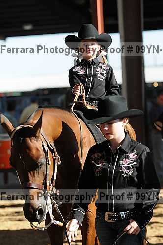 Proof 09yn-19833