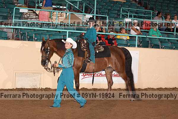 Proof 09yn-19924