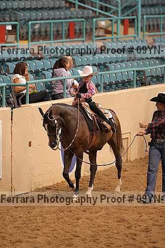 Proof 09yn-19932