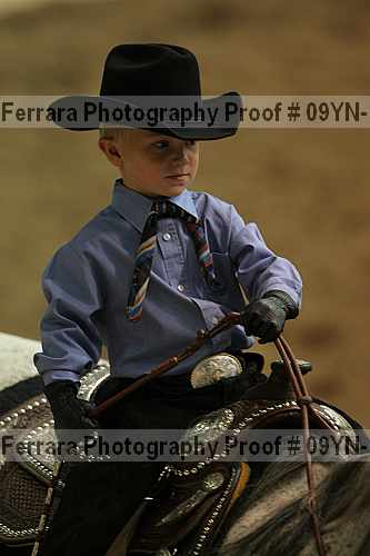 Proof 09yn-19955