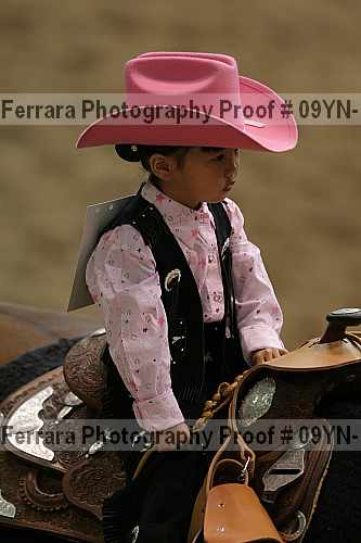 Proof 09yn-19963