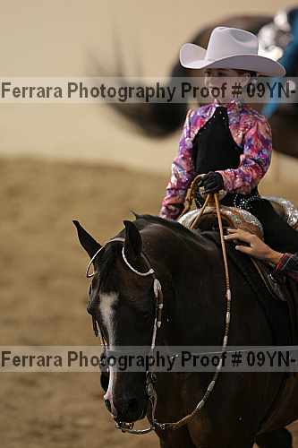 Proof 09yn-19979