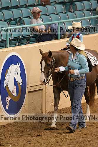 Proof 09yn-20014