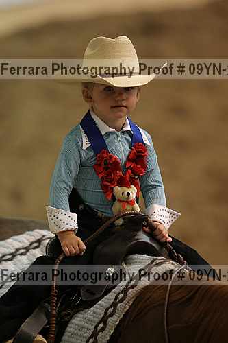 Proof 09yn-20016