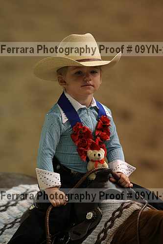 Proof 09yn-20017