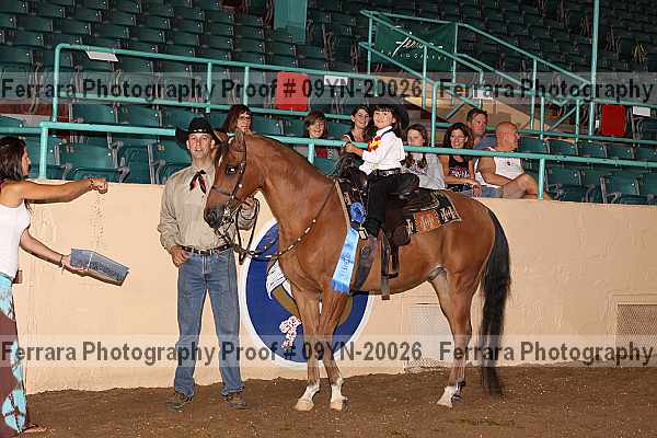 Proof 09yn-20026