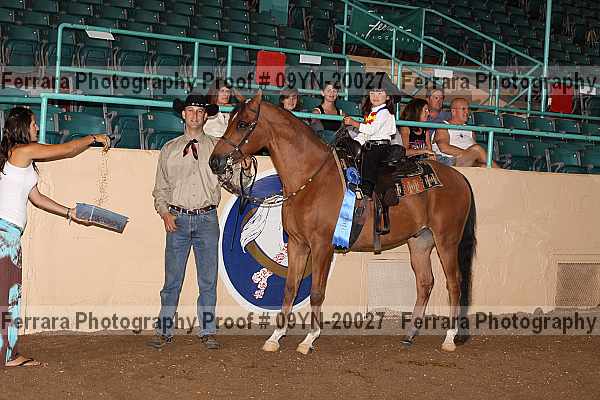 Proof 09yn-20027