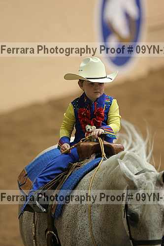 Proof 09yn-20028