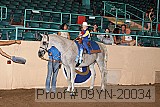 09yn-20034 proof