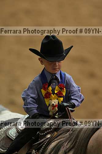 Proof 09yn-20044
