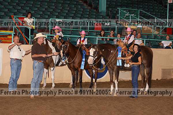 Proof 09yn-20052