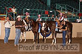 09yn-20052 proof