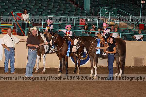 Proof 09yn-20053