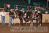 09yn-20053 proof