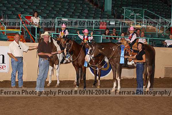 Proof 09yn-20054