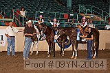 09yn-20054 proof