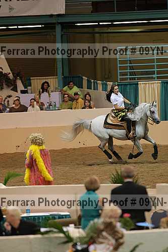 Proof 09yn-19221