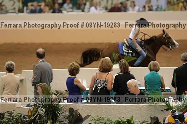 Proof 09yn-19283