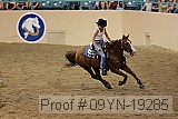 09yn-19285 proof