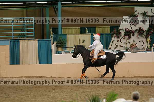Proof 09yn-19306
