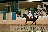 09yn-19306 proof