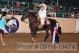09yn-19474 proof