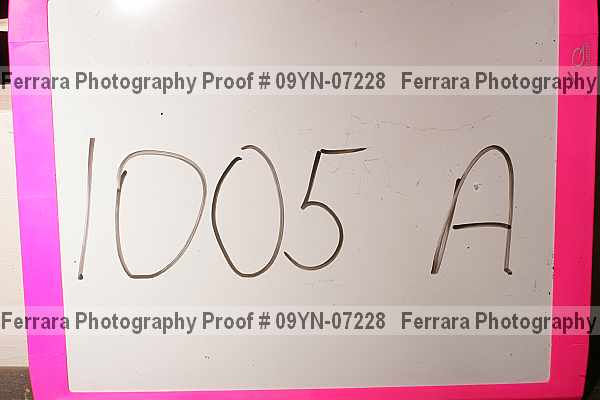 Proof 09yn-07228