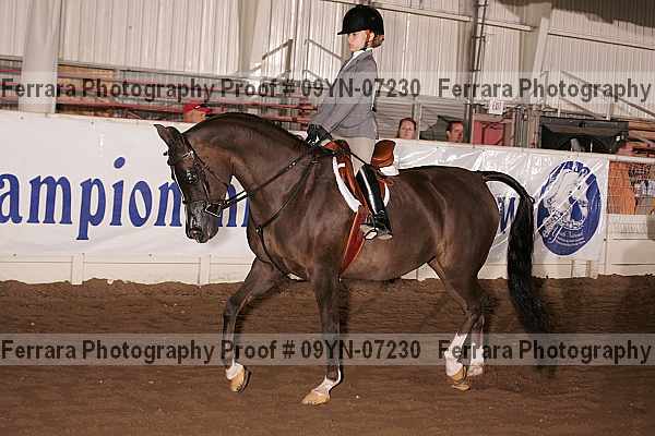 Proof 09yn-07230