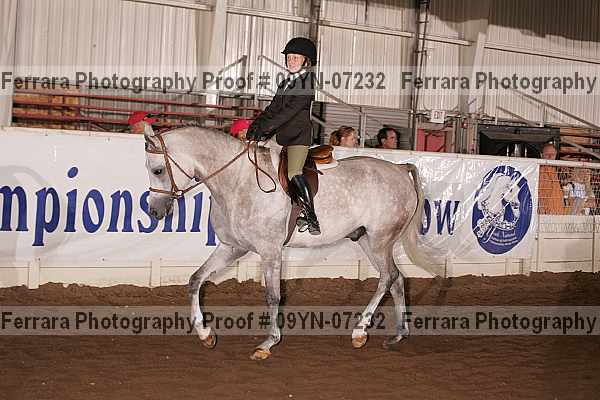 Proof 09yn-07232