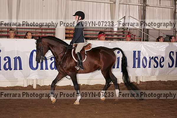 Proof 09yn-07233