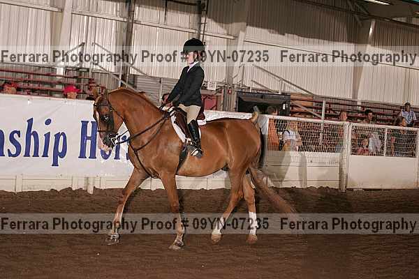 Proof 09yn-07235