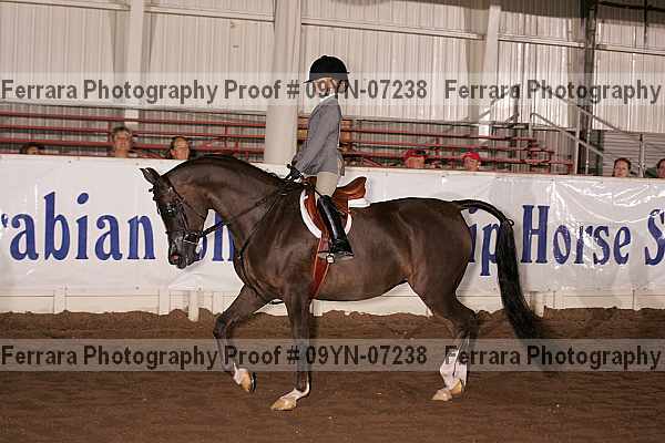 Proof 09yn-07238