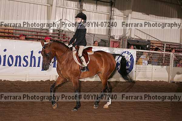 Proof 09yn-07240